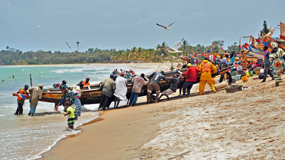 Why Gambia Is Now More Attractive Than Ever As A Tourist Destination The African Courier Reporting Africa And Its Diaspora