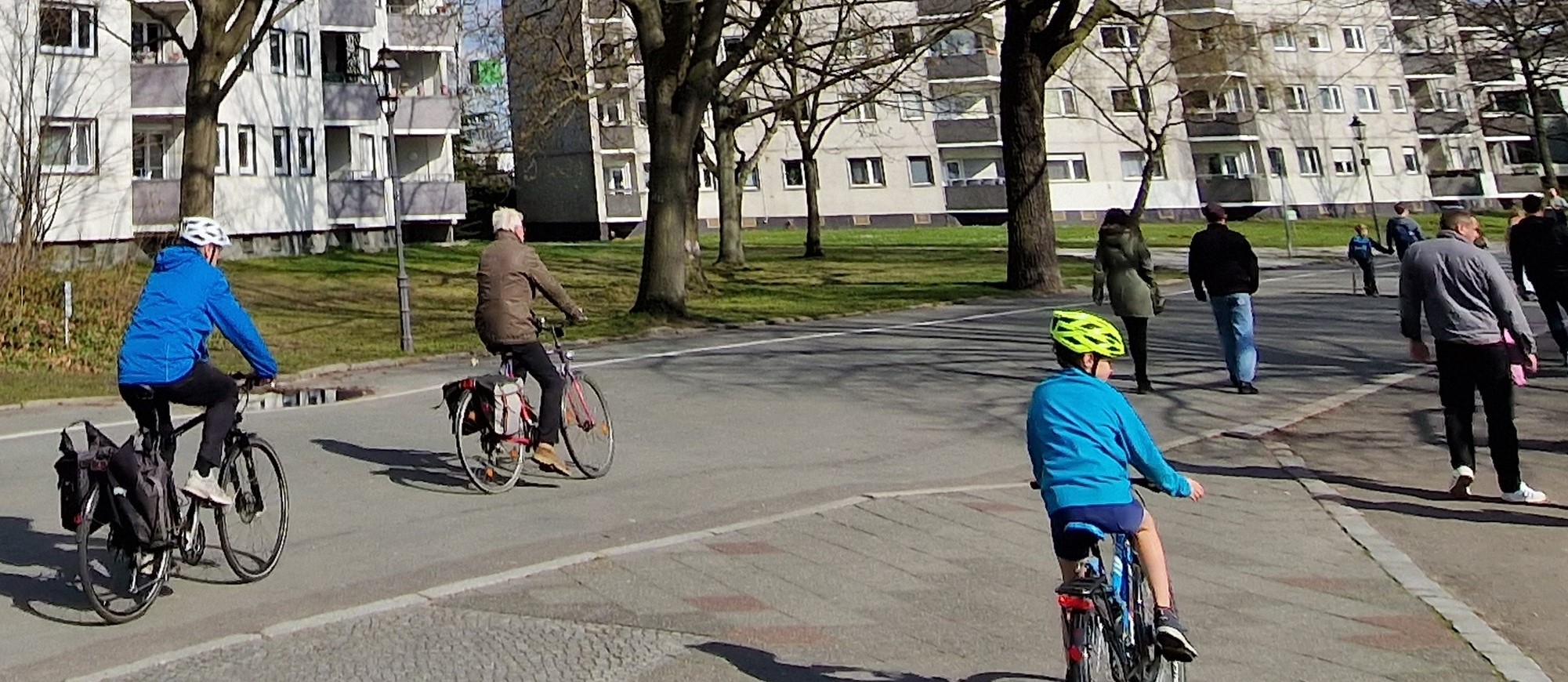 German Society Seeks Alternatives To Family THE AFRICAN COURIER german-society-seeks-alternatives-to-family-the-african-courier